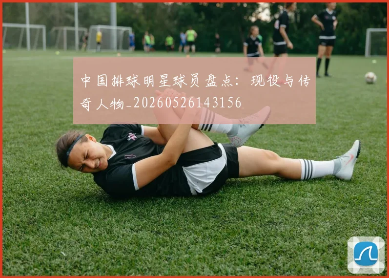 中国排球明星球员盘点：现役与传奇人物_20260526143156