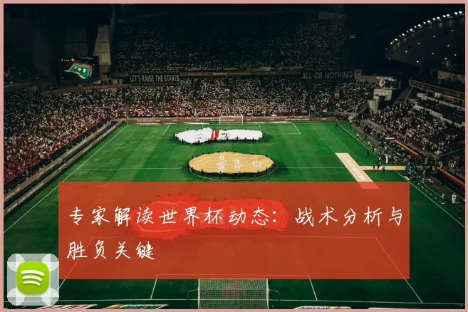 专家解读世界杯动态：战术分析与胜负关键