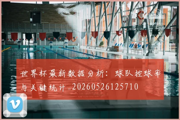 世界杯最新数据分析：球队控球率与关键统计_20260526125710