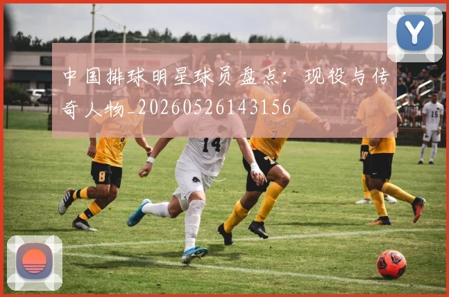 中国排球明星球员盘点：现役与传奇人物_20260526143156